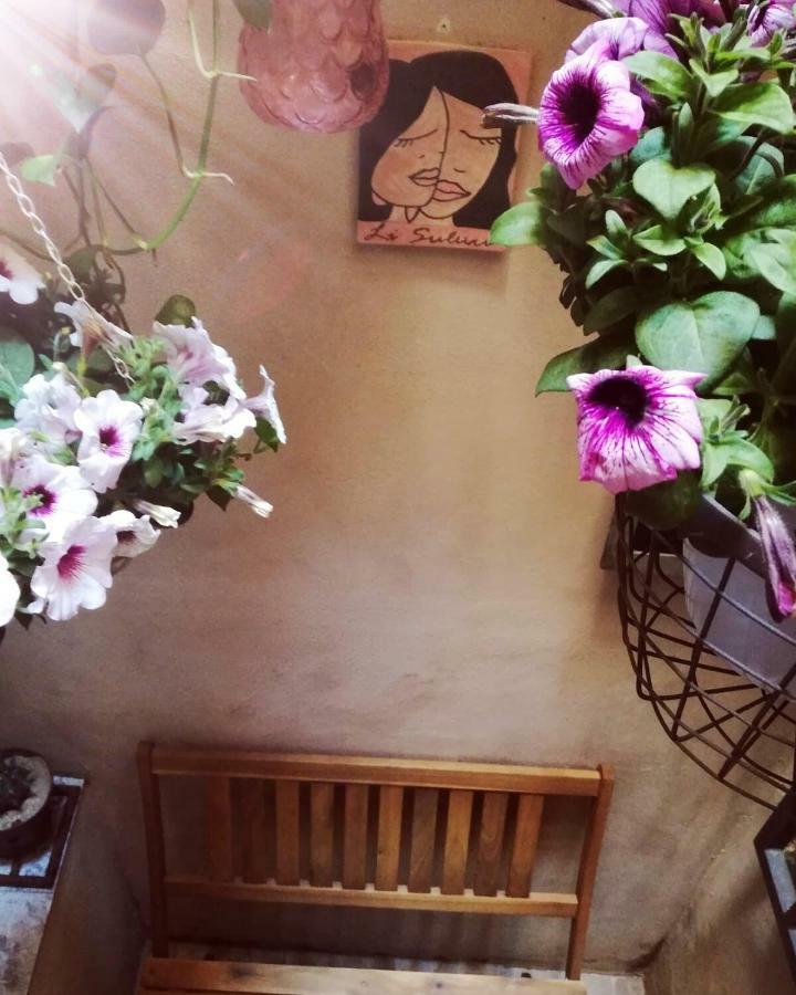 Li Suluri Bed and Breakfast Lecce Eksteriør billede